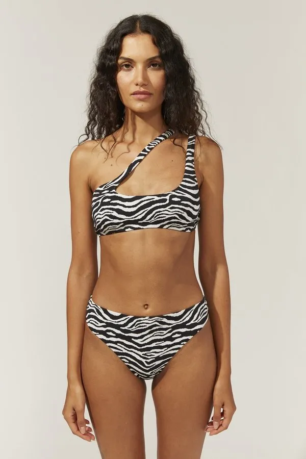 Brody Bikini Bottom - Zebra