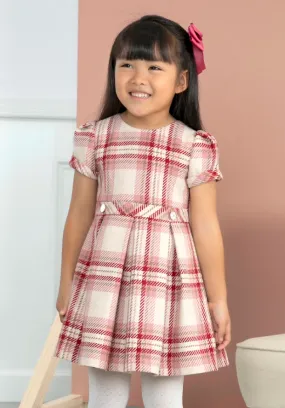 Raspberry Plaid Dress